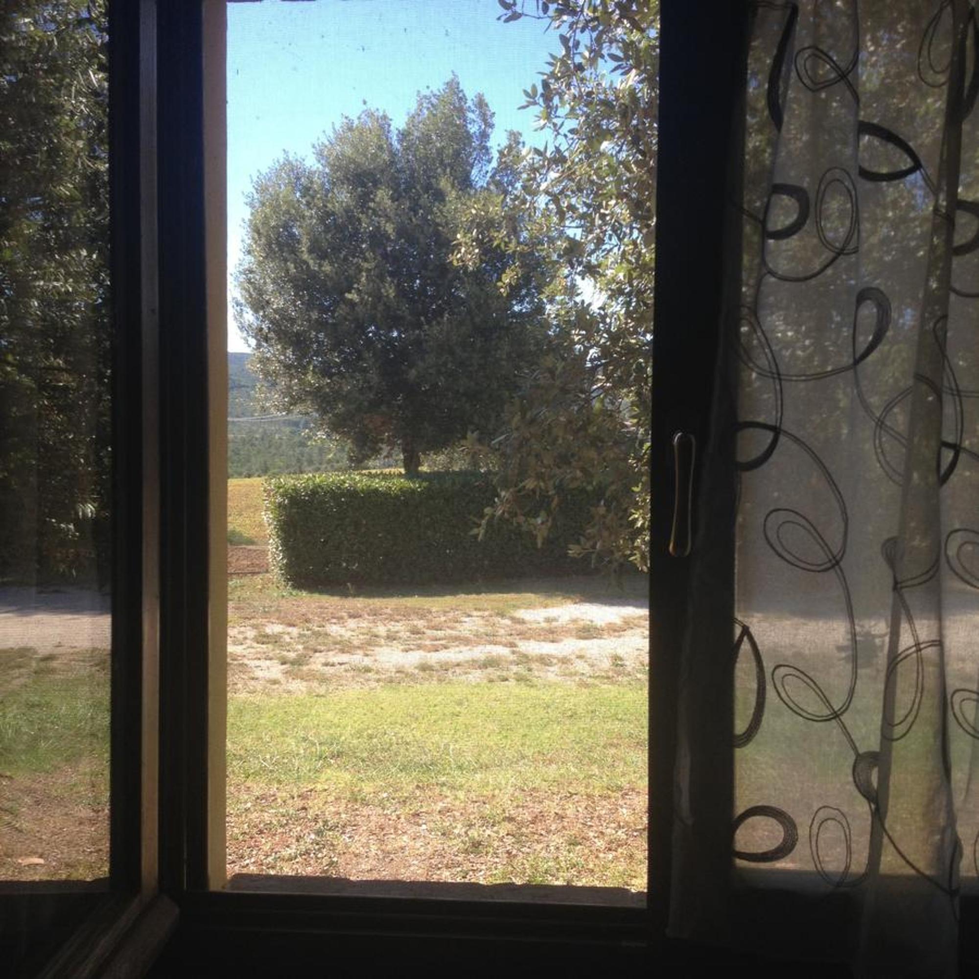 Agriturismo Collepina Amelia Exteriér fotografie