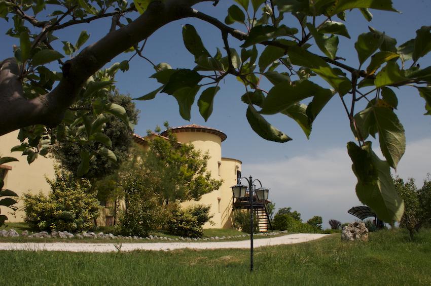 Agriturismo Collepina Amelia Exteriér fotografie