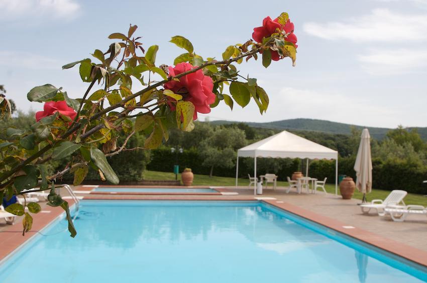 Agriturismo Collepina Amelia Exteriér fotografie