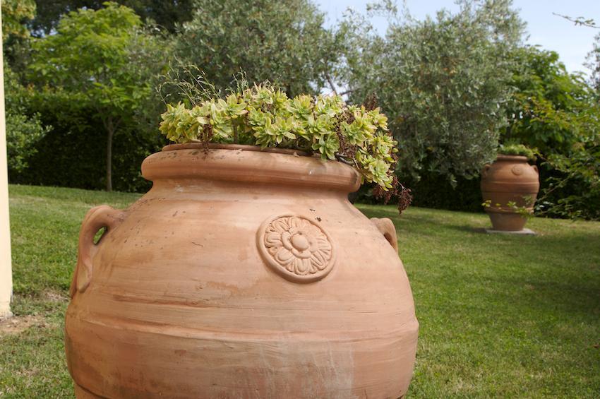 Agriturismo Collepina Amelia Exteriér fotografie