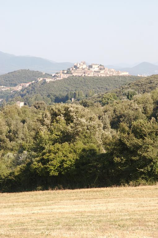 Agriturismo Collepina Amelia Exteriér fotografie